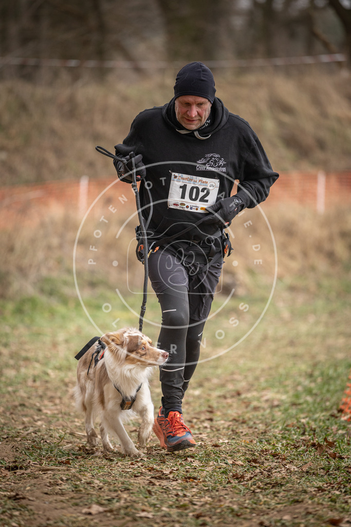 Pfotenfotografie_DV3A7464 | Hundefotografie, Tierfotograf, Pfotenfotografie, Fotoshooting Hund, Hunde Portrait, Hundesport, Hundeportraits, Heideshooting, Hunde, Sportfotograf, Hundefotograf, Turnierhundsport, THS,  - Realisiert mit Pictrs.com