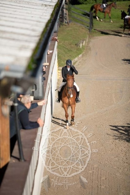 2B4A0059 | pixelfaenger - Realisiert mit Pictrs.com