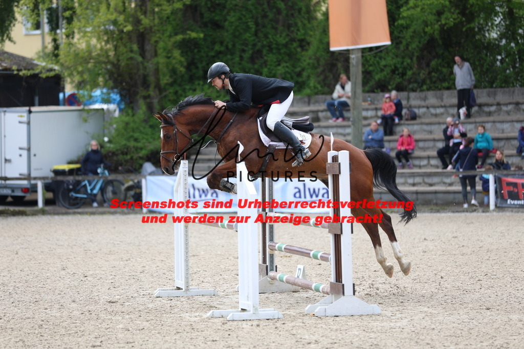 A40A2409 | lmwpictures - Realisiert mit Pictrs.com