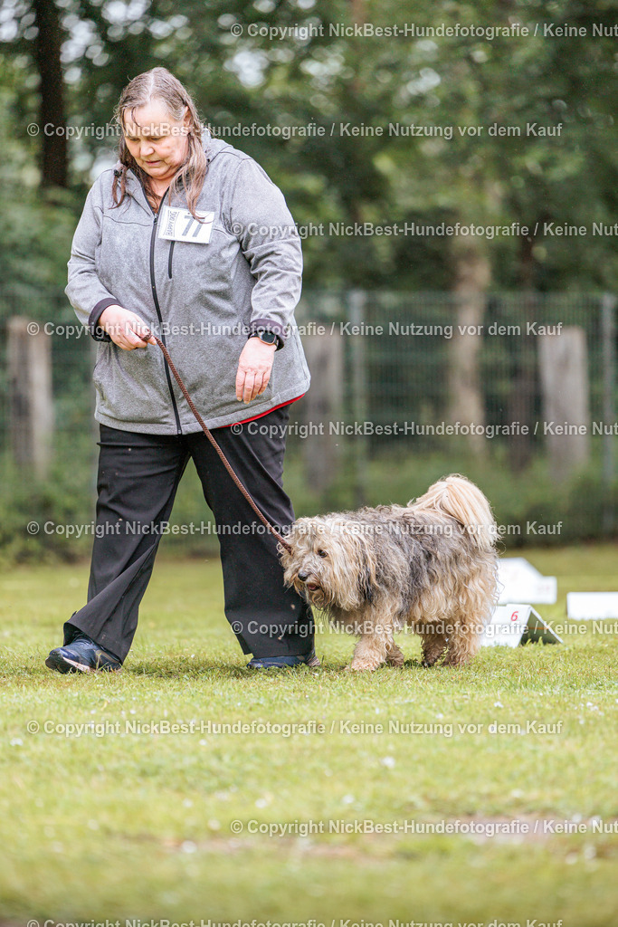 RO-Blumenthal-2026-Nickbest-Hundefotografie-3495 | Dein Hund! Dein Moment! Deine Erinnerungen! Hundefotografie in Bremen Blumenthal. Ich fange die besonderen Momente deines Vierbeiners ein – ob Indoor mit Blitzanlage oder in der freien Natur. Sicher dir dein Moment und dein Termin für eure Erinnerungen.