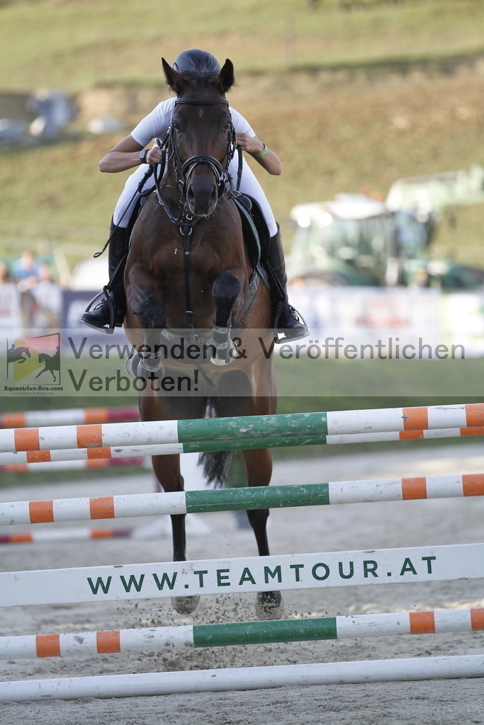 _MG_0142 | equestrian-live-com