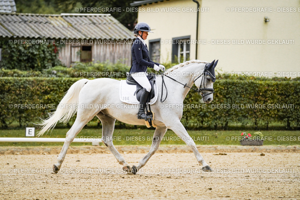 DSC06587 | Pferdegrafie