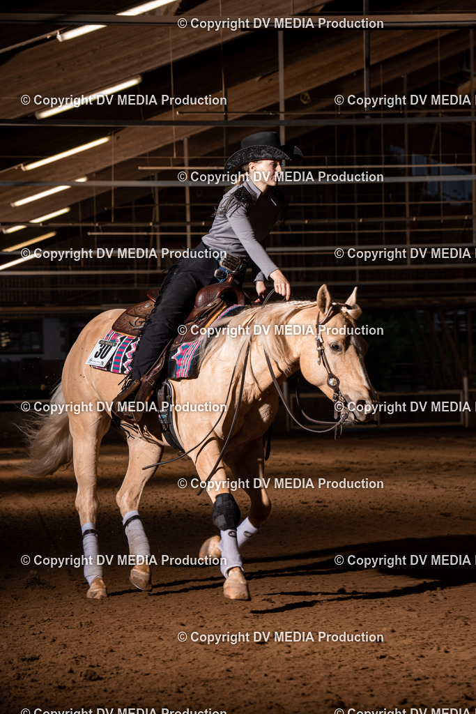 Erbach Tag 2-1101 | dv-media-shop - Realisiert mit Pictrs.com