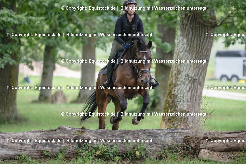 20250726_Vielseitigkeitslehrgang-Marbach_0757 | Foto: Thomas Hartig