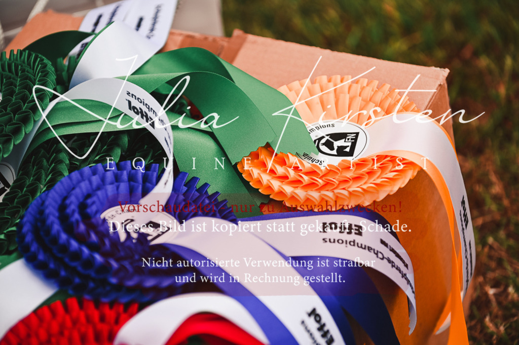 DSC_6136 | Pferde- und Turnierfotografie in Westsachsen. Pferdeportraits, Auftragszeichnungen und intuitive Kunst.