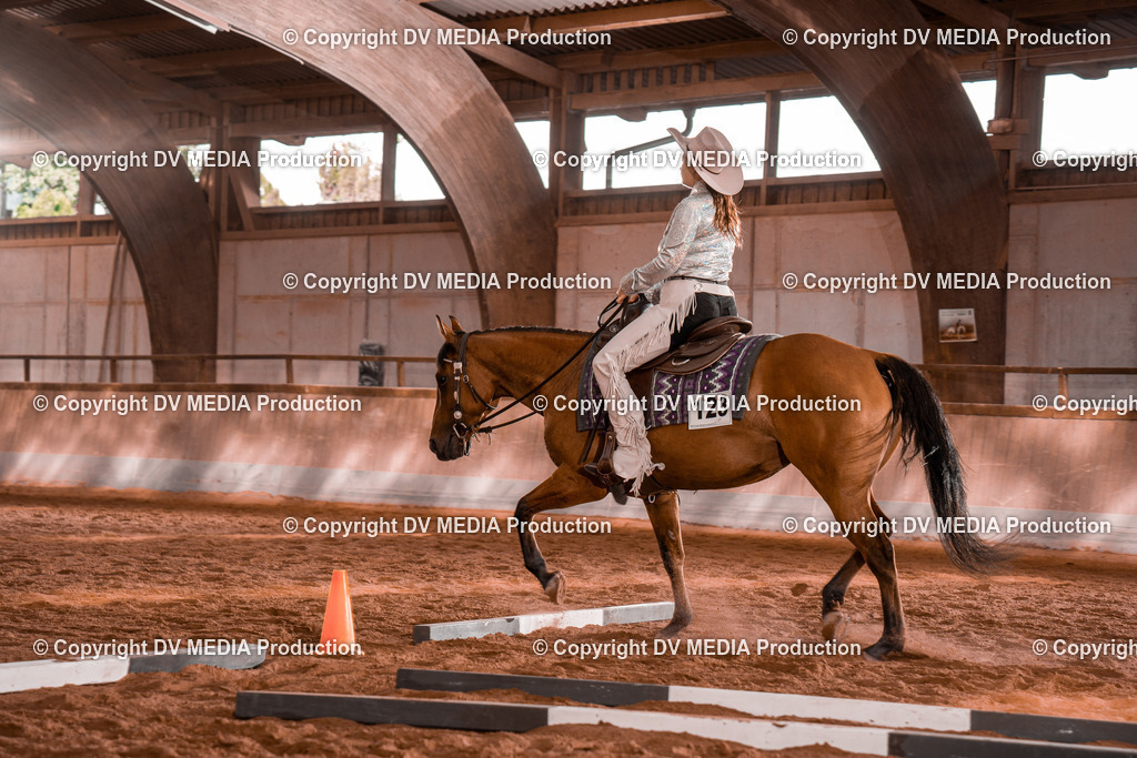 NE200106 | dv-media-shop - Realisiert mit Pictrs.com