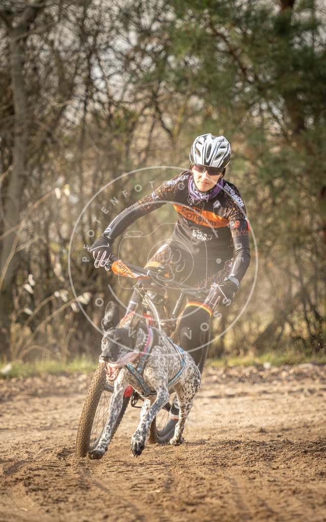 Pfotenfotografie_DV3A7479 | Hundefotografie, Tierfotograf, Pfotenfotografie, Fotoshooting Hund, Hunde Portrait, Hundesport, Hundeportraits, Heideshooting, Hunde, Sportfotograf, Hundefotograf, Turnierhundsport, THS,  - Realisiert mit Pictrs.com