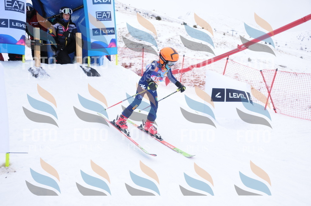 DSC_8402 | holidayphoto