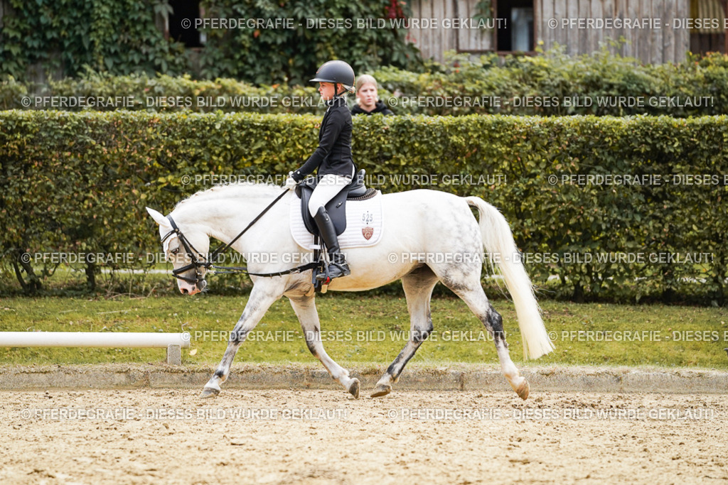 DSC09508 | Pferdegrafie