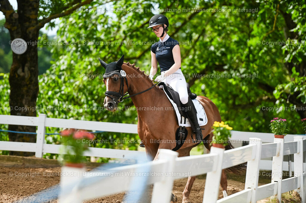 20230715_07_Dressurpferdeprfg. Kl.L_0096 | equistock