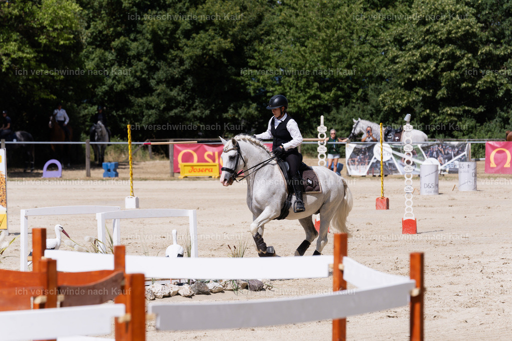 WM_SP_133_SinaFilmArt_IN07994 | working equitationturnier fotograf videograf stoibphotography marixx film working equitation deutschland reitsport turnierfotografie eventfotografie equestrian events