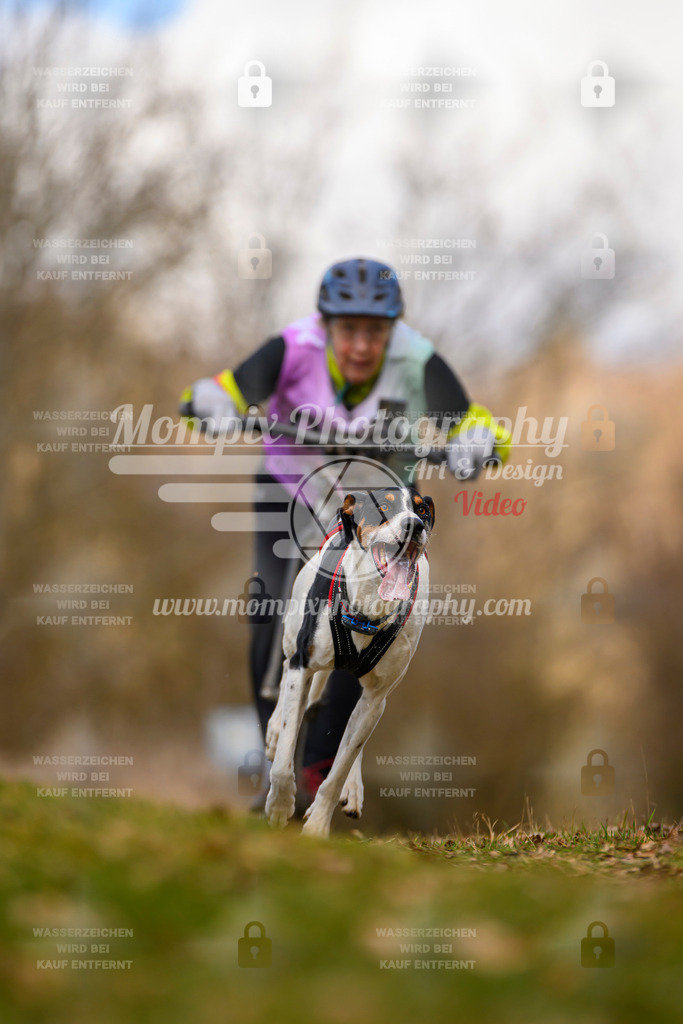 MompixPhotography_10Schwabentrail2026_SO_Scooter-106 | PayLife