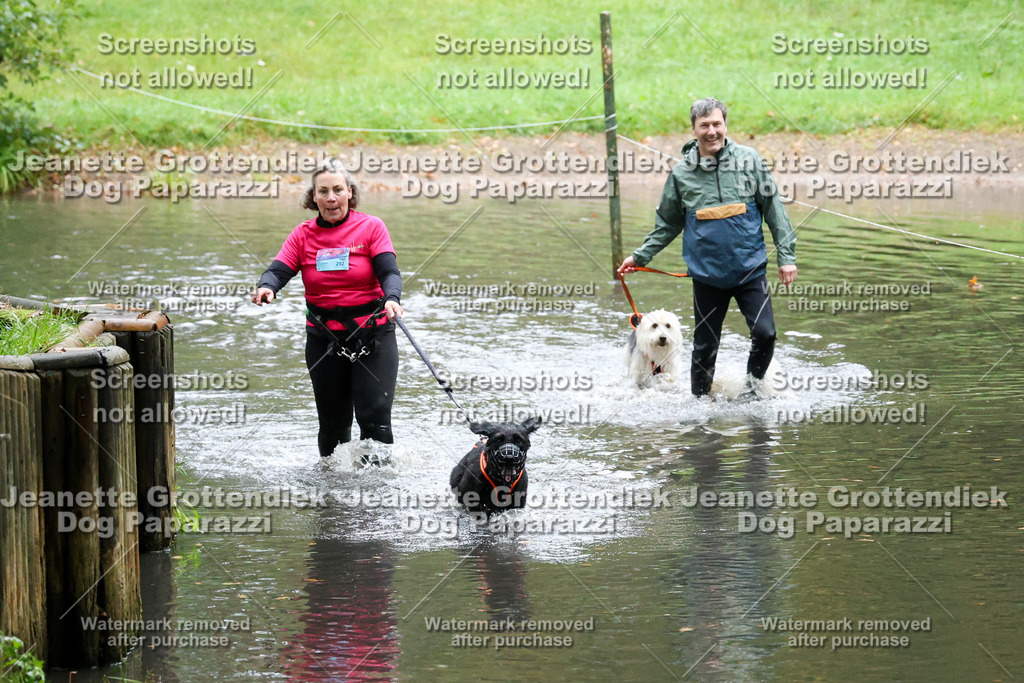 Dog Paparazzi -  SD1026-8311 | Dog Paparazzi Jeanette Grottendiek Fotografie & Videografie - Realisiert mit Pictrs.com