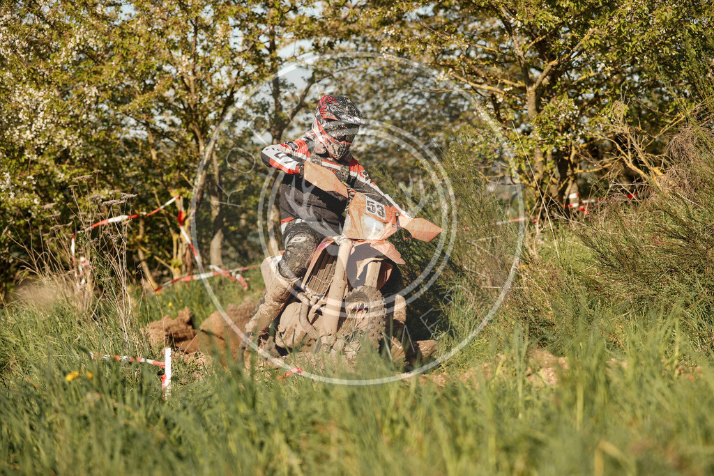 RottlebenIGE25_Lauf3-750 | koppe-media