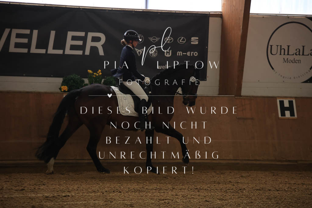 IMGT9829 | pl-fotografie