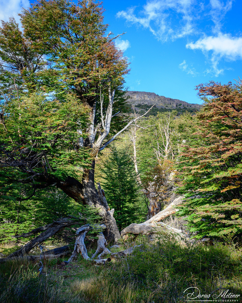 El Chalten in Argentinien | El Chalten in Argentinien