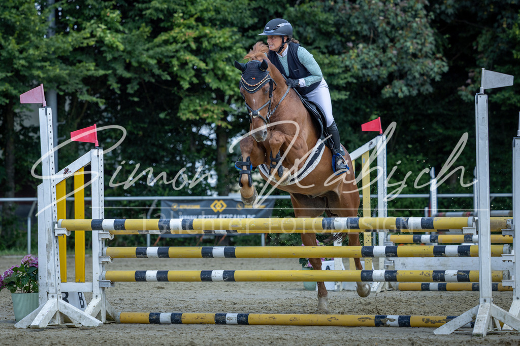 20260704-_3LI0253 | Tierfotografie Pferde, Hunde, Katzen, Haustiere.
Turnierfotografie Reitturniere, Reiten, Springreiten, Dressur in Hanau, dem Main-Kinzig-Kreis und dem Rhein-Main- Gebiet um Frankfurt