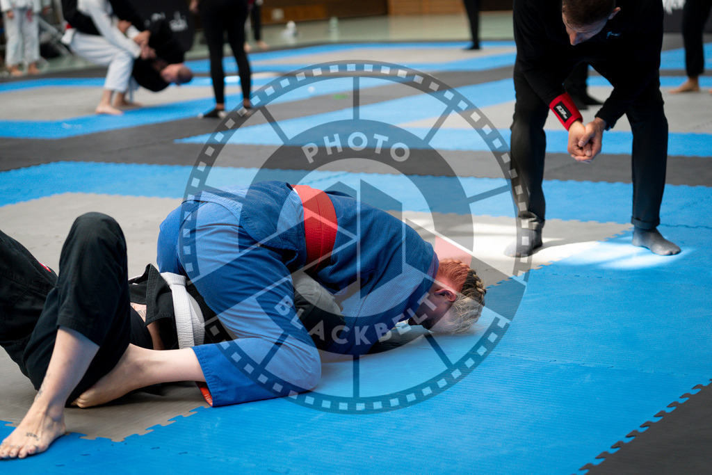 20240908PBB4428 | Athletes compete during the AJP Hamburg competition on September 8, 2024 in Hamburg, northern Germany.