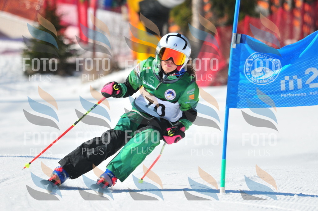 C2283 | holidayphoto