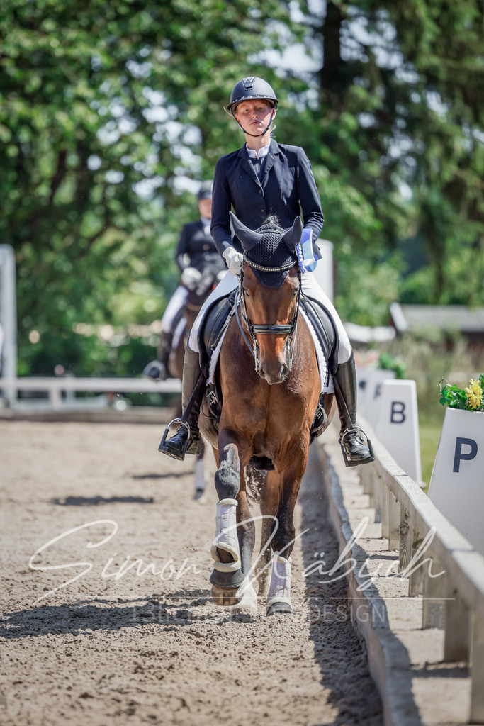 20250621-_3LI8907 | Tierfotografie Pferde, Hunde, Katzen, Haustiere.
Turnierfotografie Reitturniere, Reiten, Springreiten, Dressur in Hanau, dem Main-Kinzig-Kreis und dem Rhein-Main- Gebiet um Frankfurt