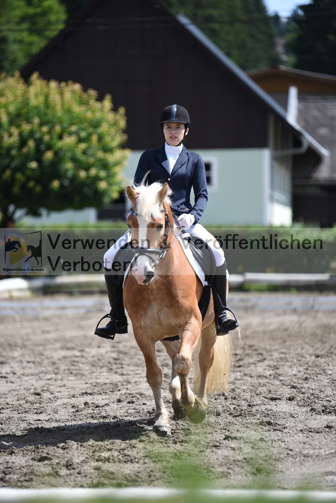 DSC_0408 | equestrian-live-com