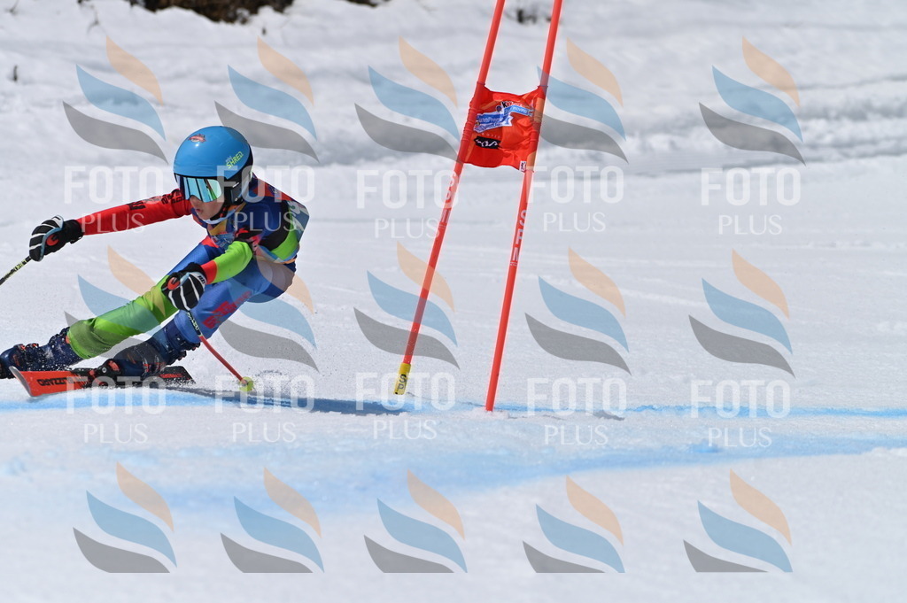 BGV_7152 | holidayphoto