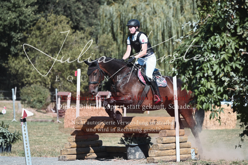 DSC_8572 | Pferde- und Turnierfotografie in Westsachsen. Pferdeportraits, Auftragszeichnungen und intuitive Kunst.
