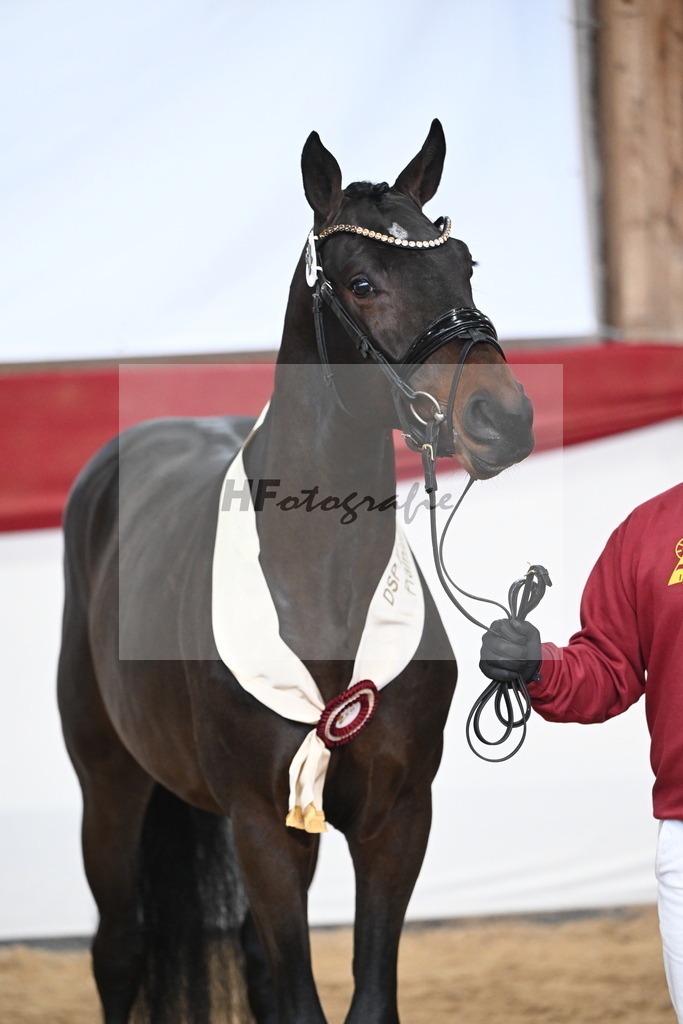 Kat.-Nr. 22 v. Heartbreaker_Laue_3265280 | hf-fotografie - Realizzato con Pictrs.com