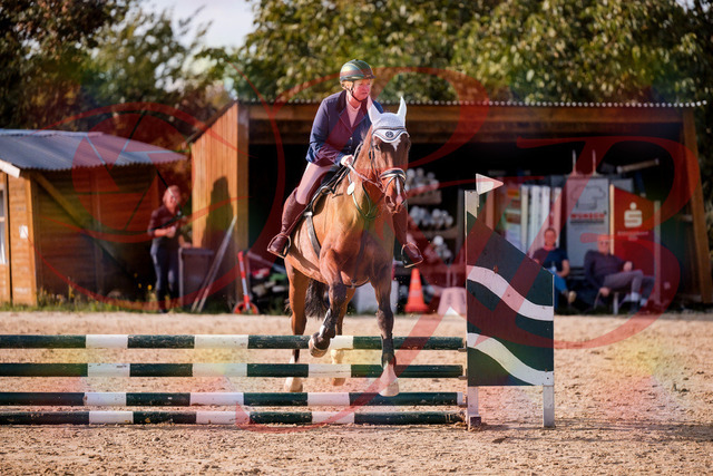 2026_10_03_Siefer-Hof_160637_Z81_88372903 | Professionelle Reitsport-, Turnier- und Eventfotografie von Robert Broda. Galerien mit ausgewählten und bearbeiteten Bildern direkt online ansehen und bestellen.