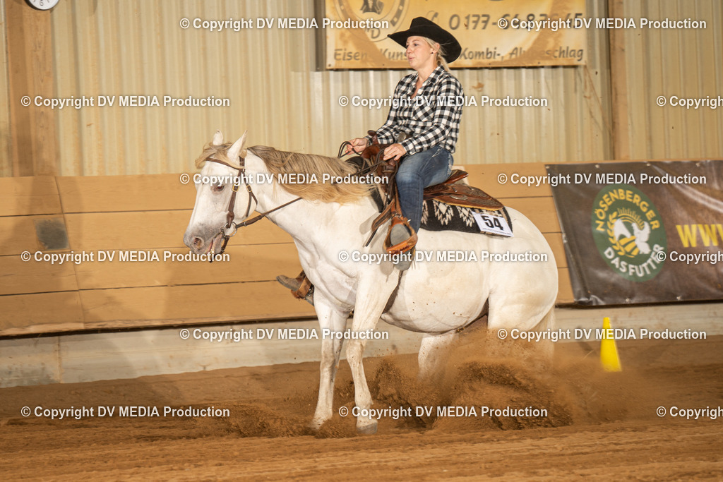 NID03811 | dv-media-shop - Realisiert mit Pictrs.com