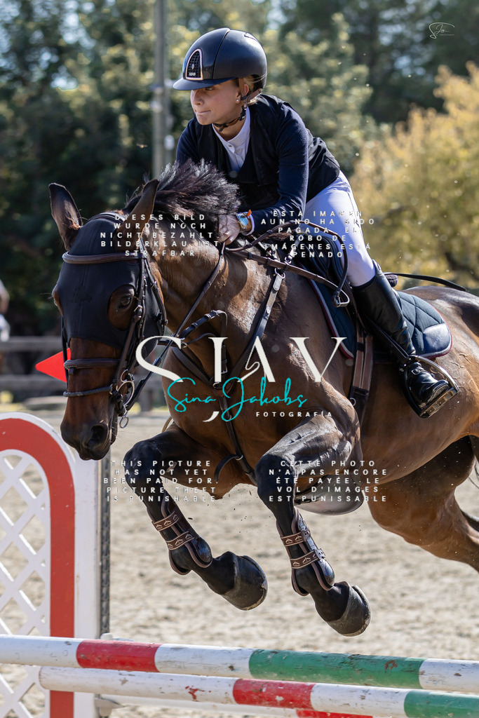 IMG_0654 | s-jay-photography - Realisiert mit Pictrs.com