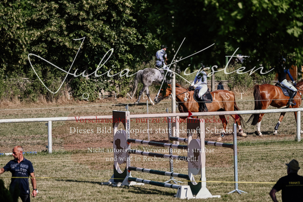 DSC_2004 | Pferde- und Turnierfotografie in Westsachsen. Pferdeportraits, Auftragszeichnungen und intuitive Kunst.