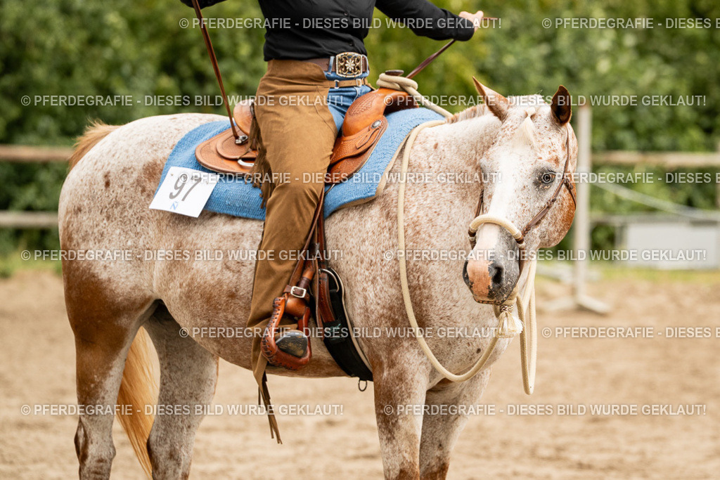 DSC01065 | Pferdegrafie