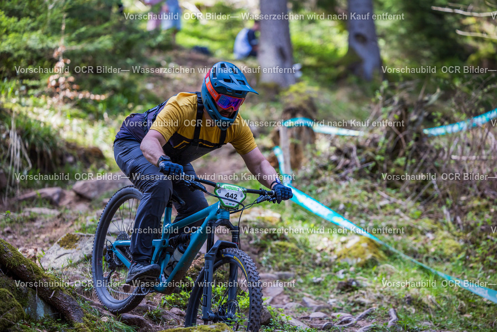 E1 Bad Wildbad 2024 Sonntag R3-9985 | OCR Bilder Fotograf Eisenach Michael Schröder
