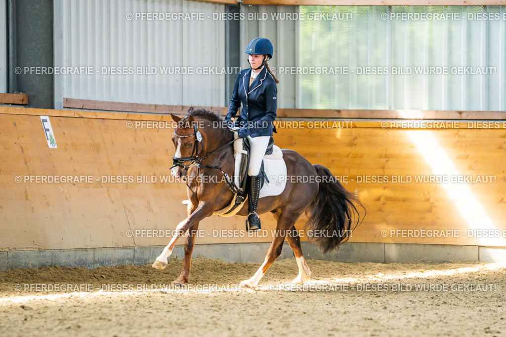 DSC03738 | Pferdegrafie