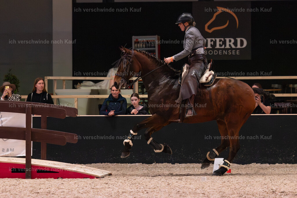 JoseraCup-186 | working equitationturnier fotograf videograf stoibphotography marixx film working equitation deutschland reitsport turnierfotografie eventfotografie equestrian events