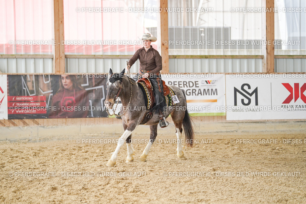 DSC02145 | Pferdegrafie