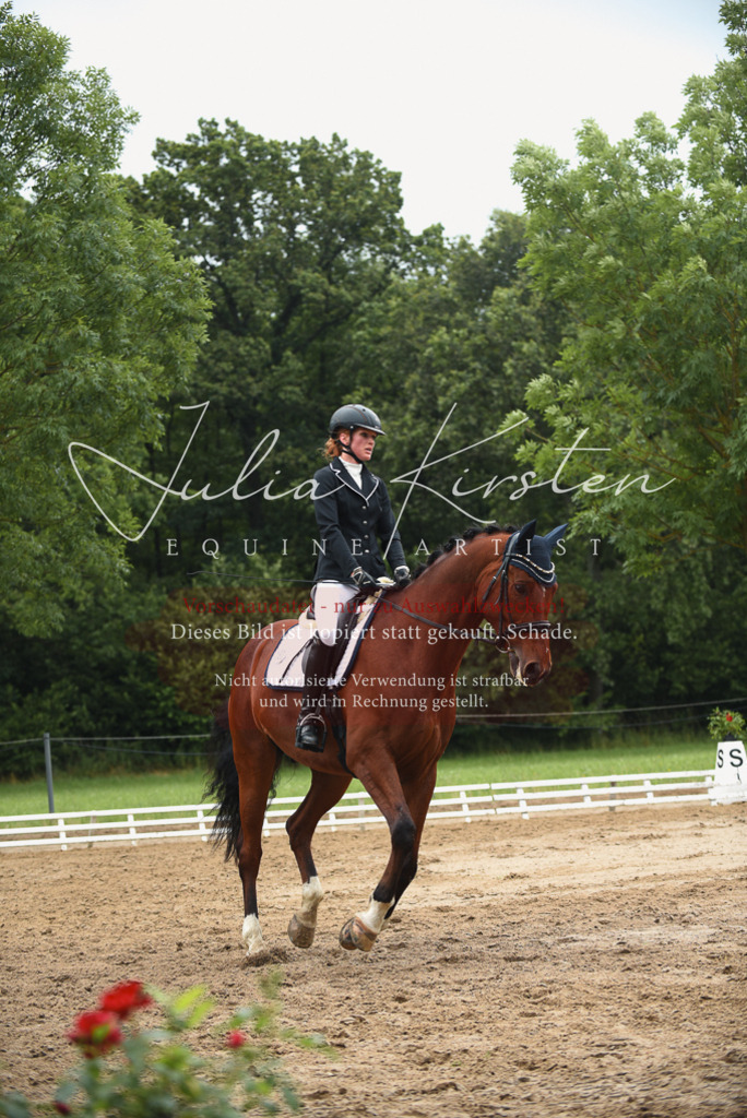 DSC_0233 | Pferde- und Turnierfotografie in Westsachsen. Pferdeportraits, Auftragszeichnungen und intuitive Kunst.