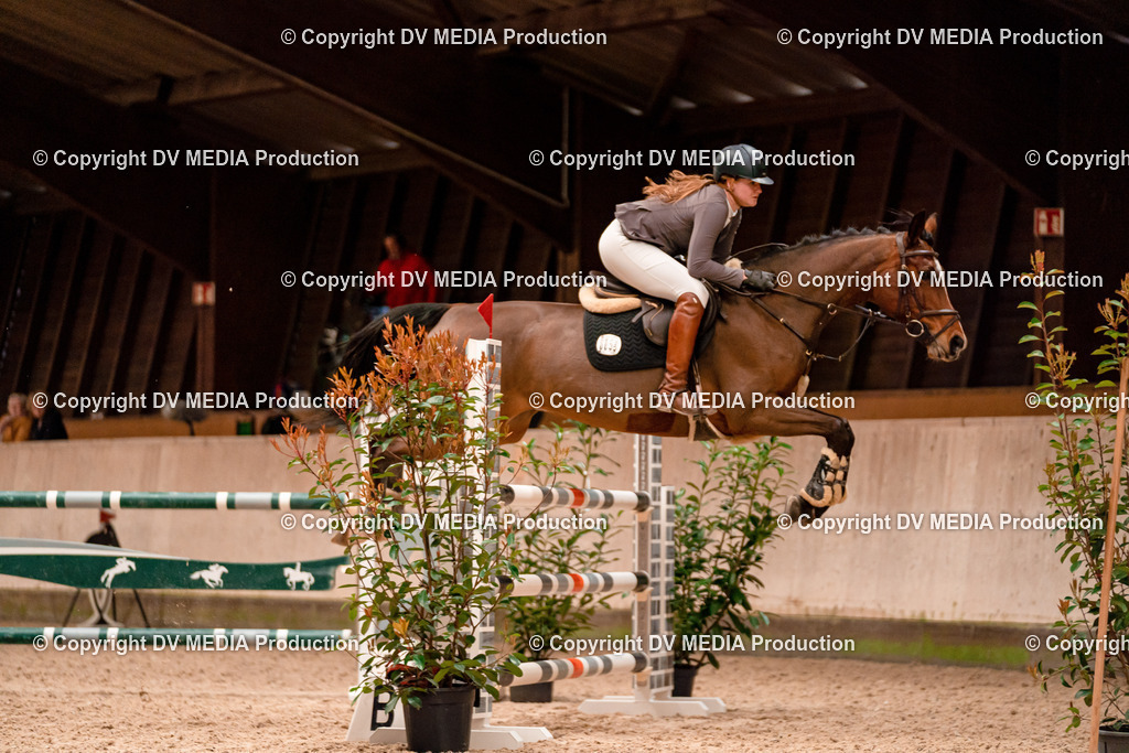 Springen Tag 1-527 | dv-media-shop - Realisiert mit Pictrs.com