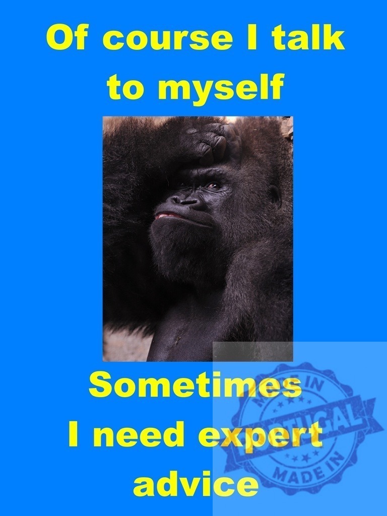 Gorilla meme talking to myself seeking expert advice | Gorilla face with text discussing talking to self for expert advice - Realisiert mit Pictrs.com