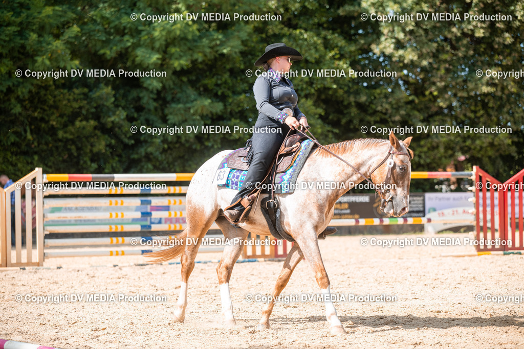 EWP_6921 | dv-media-shop - Realisiert mit Pictrs.com