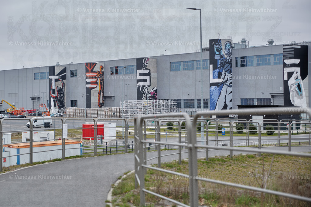 250412_TeslaWaldspaziergang_00001 | Vanessa Kleinwächter - Realisiert mit Pictrs.com