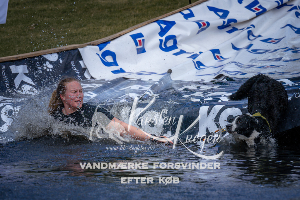 _ZZ943340956 | kk-dogfotos