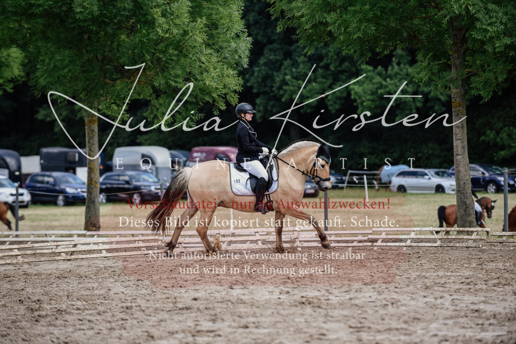 DSC_1697 | Pferde- und Turnierfotografie in Westsachsen. Pferdeportraits, Auftragszeichnungen und intuitive Kunst.