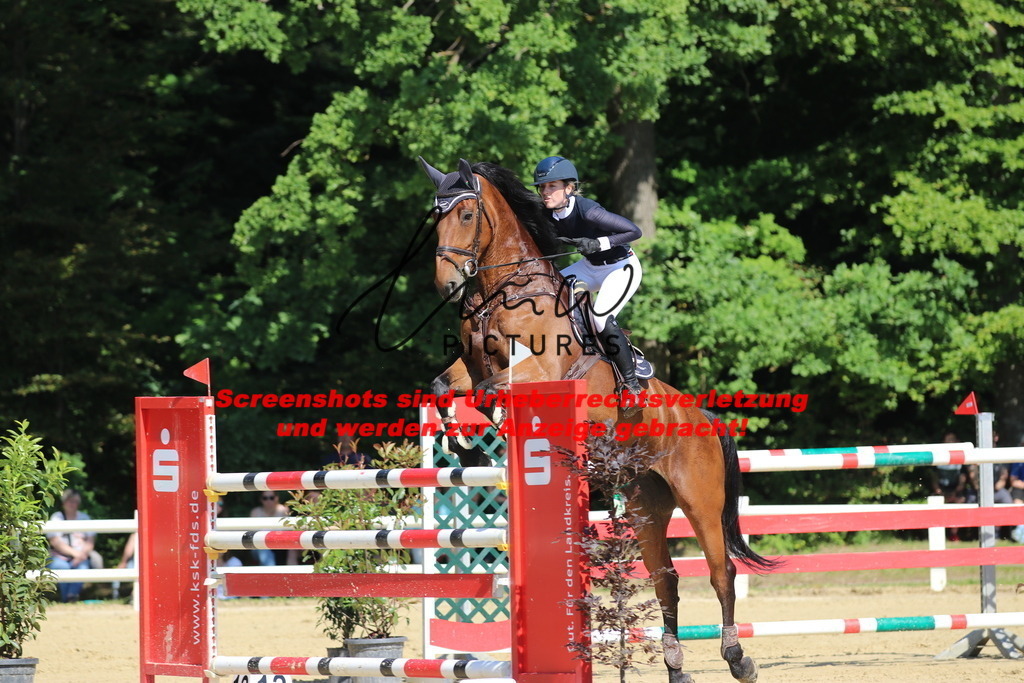 IMG_3149 | lmwpictures - Realisiert mit Pictrs.com