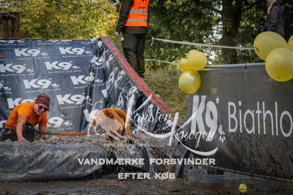 1555_ZZ91263 | kk-dogfotos