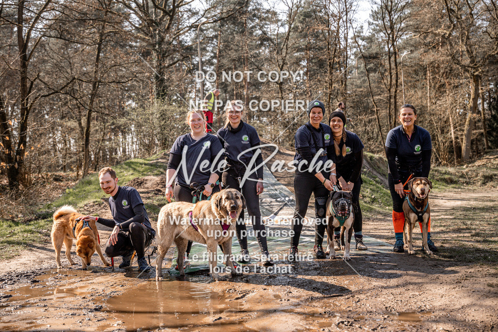 nelerasche_Hulsbeek_So1300-1330_526 | nelerasche