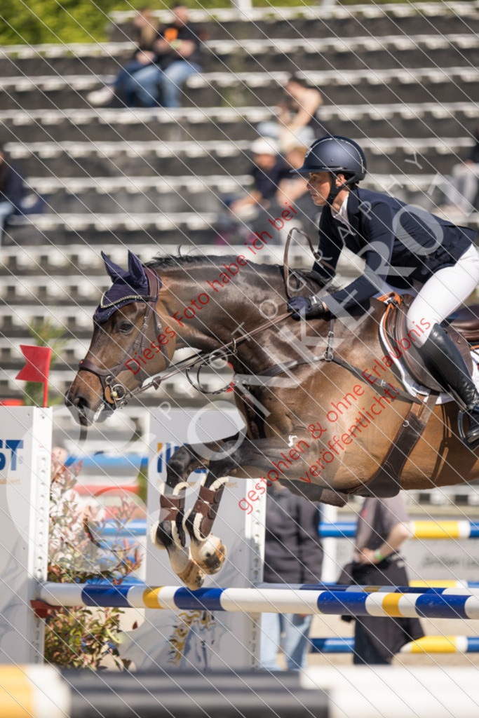 IMG_4060 | Sport-, Event- und Tierfotos in Profiqualität. Einfach auswählen, bestellen und herunterladen. Dein Moment – perfekt festgehalten.
