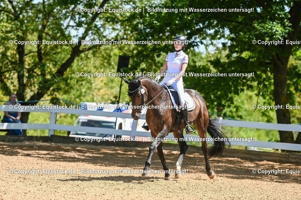 20230715_02_Dressurreiterprüfung Kl.L_0067 | equistock