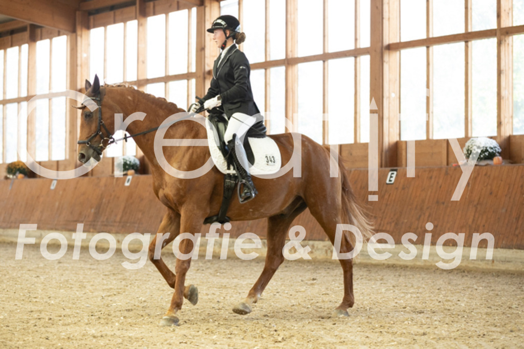 IMG_1620 | Creatify Fotografie